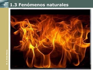 1.3 Fenómenos naturales

                                         Espacio


                       Fenómenos
                        naturales                      Fenómenos
                                         Materia        naturales
                         físicos
                                                        químicos
                       •No cambia la
                       estructura                      •Se producen
                       interna de la                   cambios en la
                       materia.        La naturaleza   composición de
                                                       la materia.
                       •Huracanes
                       •Rayos                          •Combustión
                       •Movimiento                     •Fotosíntesis
M. C. Erick Flores




                       •Imágenes en                    •Digestión
                                         Energía
                       espejos                         •Oxidación
                       •Calor




                                         Tiempo
 
