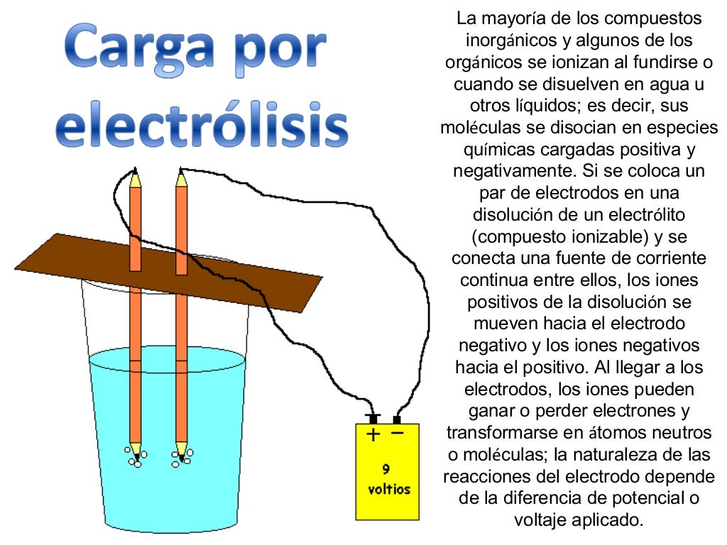 La Electrizacion La Electrizacion