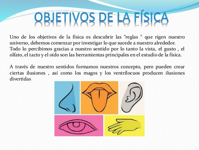 Fisica