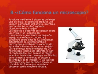 8.-¿Cómo funciona un microscopio?
Funciona mediante 2 sistemas de lentes:
una de ellas (el objetivo) produce una
imagen agrandada del objeto, mientras
que la otra (el ocular) agranda
ulteriormente la imagen.
Los objetos a observar se colocan sobre
un cristal y se iluminan por
transparencia, mediante un pequeño
espejo que refleja y concentra y
concentra sobre ellos la luz ambiental.
actualmente se utilizan también
microscopios electrónicos capaces de
agrandar millones de veces un objeto.
Los elementos fundamentales de un
microscopio normal de laboratorio son:
el condensador, que ilumina el objeto
examinar haciendo converger en él la luz
de una fuente luminosa; el sistema
de enfoque de la imagen; y las tuercas
micrométrica, que permiten mover el
cristal de tal forma que la parte a
observar esté siempre enfocada.
 
