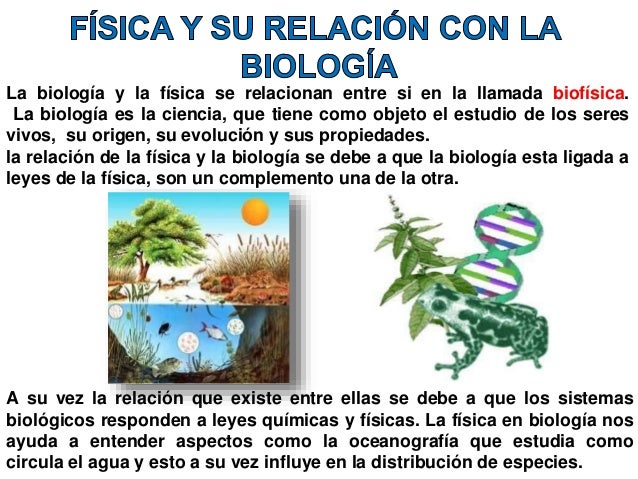 Fisica 1 (fil eminimizer)