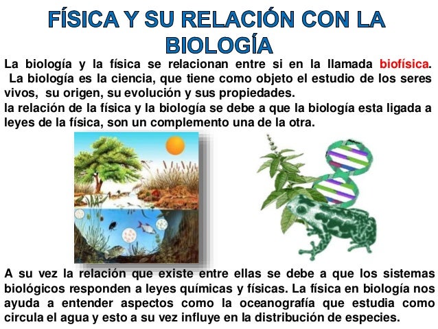 Fisica 1 y su relacion