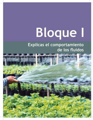 19
Bloque I
Explicas el comportamiento
de los fluidos
Bloque I. Explicas el comportamiento de los fluidos
 