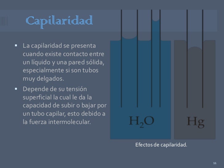 Ejemplos De Capilaridad