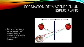 FORMACIÓN DE IMÁGENES EN UN 
ESPEJO PLANO 
• Se forma una imagen 
virtual (detrás del 
espejo) de igual 
tamaño que el objeto 
y a la misma 
distancia. 
 
