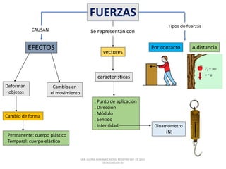 DRA. GLORIA ADRIANA CASTRO. REGISTRO SEP. 03-2015-
081410262400-01
FUERZAS
CAUSAN
EFECTOS
Deforman
objetos
Cambios en
el movimiento
Cambio de forma
. Permanente: cuerpo plástico
. Temporal: cuerpo elástico
Se representan con
vectores
características
. Punto de aplicación
. Dirección
. Módulo
. Sentido
. Intensidad
Tipos de fuerzas
Por contacto A distancia
Dinamómetro
(N)
 