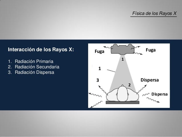 Fisica de los rayos X