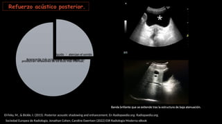 Fundamentos y Aplicaciones del Ultrasonido en Diagnóstico Médico | PPTX