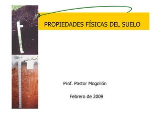 PROPIEDADES FÍSICAS DEL SUELO
Prof. Pastor Mogollón
Febrero de 2009
 