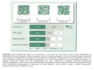 Fisica do solo 1 - 2014