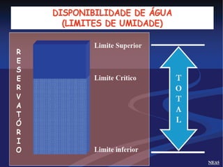 Fisica do solo 1 - 2014