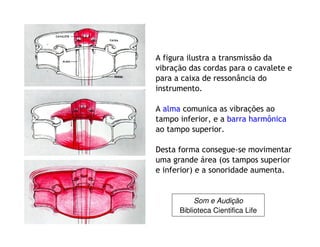 A figura ilustra a transmissão da
vibração das cordas para o cavalete e
para a caixa de ressonância do
instrumento.
A alma comunica as vibrações ao
tampo inferior, e a barra harmônica
ao tampo superior.
Desta forma consegue-se movimentar
uma grande área (os tampos superior
e inferior) e a sonoridade aumenta.
Som e Audição
Biblioteca Cientifica Life
 