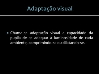  Chama-se adaptação visual a capacidade da
pupila de se adequar à luminosidade de cada
ambiente, comprimindo-se ou dilatando-se.
 