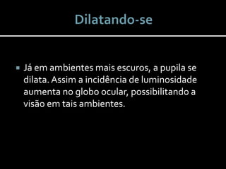 Já em ambientes mais escuros, a pupila se
dilata.Assim a incidência de luminosidade
aumenta no globo ocular, possibilitando a
visão em tais ambientes.
 