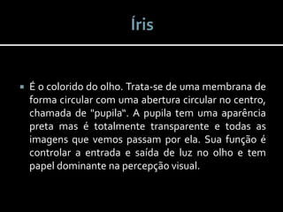  É o colorido do olho. Trata-se de uma membrana de
forma circular com uma abertura circular no centro,
chamada de "pupila“. A pupila tem uma aparência
preta mas é totalmente transparente e todas as
imagens que vemos passam por ela. Sua função é
controlar a entrada e saída de luz no olho e tem
papel dominante na percepção visual.
 