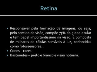  Responsável pela formação de imagens, ou seja,
pelo sentido da visão, compõe 75% do globo ocular
e tem papel importantíssimo na visão. É composta
de milhares de células sensíveis à luz, conhecidas
como fotossensoras.
 Cones – cores.
 Bastonetes – preto e branco e visão noturna.
 