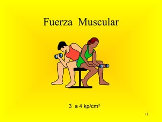Fuerza Muscular




     3 a 4 kp/cm2
                    11
 