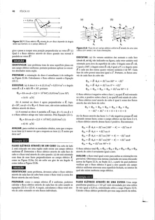 FISICA_III_Young_e_Freedman_12a_edicao.pdf