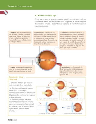 3.1 Estructura del ojo
Como hemos visto, el ojo o globo ocular, es el órgano receptor de la luz,
y constituye la base del sentido de la vista. En general, el ojo se compone
de un sistema sensible a los cambios de luz, capaz de transformar estos en
impulsos eléctricos.
102 | Unidad 3
DESARROLLO DEL CONTENIDO
La rama de la medicina que estudia la
visión humana se llama oftalmología.
Hay distintas condiciones que pueden
afectar al ojo. La miopía y la
hipermetropía se deben a la deformación
del globo ocular, por lo cual las imágenes
no llegan a la retina.
Una persona con miopía puede ver
claramente objetos cercanos, pero no
lejanos. Una persona con hipermetropía
en cambio, es capaz de ver con claridad
objetos lejanos, pero no objetos
cercanos.
CONEXIÓN CON…
MEDICINA
La pupila es una pequeña abertura
que se puede contraer o expandir
para regular el paso de la luz, esto
lo hace mediante un grupo de
músculos llamados iris. La pupila es
el diafragma del ojo.
El cristalino tiene la forma de una
lente biconvexa, que puede cambiar
su curvatura movido por los múscu-
los ciliares que lo sostienen, cam-
biando su punto focal. De esta forma,
el ojo puede enfocar objetos ubica-
dos a diferentes distancias.
La retina está compuesta de células fo-
tosensibles llamadas conos (sensibles a
los colores y responsables de la visión
diurna) y bastones (sensible a los grises
y responsables de la visión nocturna). Es
una especie de pantalla donde se forma
la imagen invertida del objeto. Allí, la
imagen se transforma en impulsos eléc-
tricos que viajan al cerebro.
El nervio óptico es el encargado de
llevar los impulsos eléctricos a zonas
específicas del cerebro, donde son
interpretadas como imágenes, en su
posición real.
La córnea es una membrana transpa-
rente de curvatura fija, en ella se pro-
duce la primera refracción de la luz.
Miopía Hipermetropía
La imagen se forma en frente de la retina. La imagen se forma detrás de la retina.
Corrección con lente convergente.Corrección con lente divergente.
Unidad 3 (90-119) 6/7/10 09:14 Página 102
 