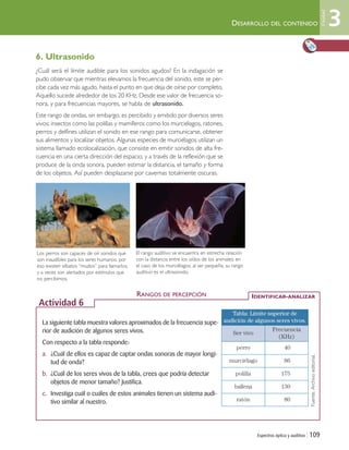 6. Ultrasonido
¿Cuál será el límite audible para los sonidos agudos? En la indagación se
pudo observar que mientras elevamos la frecuencia del sonido, este se per-
cibe cada vez más agudo, hasta el punto en que deja de oírse por completo.
Aquello sucede alrededor de los 20 KHz. Desde ese valor de frecuencia so-
nora, y para frecuencias mayores, se habla de ultrasonido.
Este rango de ondas, sin embargo, es percibido y emitido por diversos seres
vivos; insectos como las polillas y mamíferos como los murciélagos, ratones,
perros y delfines utilizan el sonido en ese rango para comunicarse, obtener
sus alimentos y localizar objetos. Algunas especies de murciélagos utilizan un
sistema llamado ecolocalización, que consiste en emitir sonidos de alta fre-
cuencia en una cierta dirección del espacio, y a través de la reflexión que se
produce de la onda sonora, pueden estimar la distancia, el tamaño y forma
de los objetos. Así pueden desplazarse por cavernas totalmente oscuras.
Espectros óptico y auditivo | 109
DESARROLLO DEL CONTENIDO
La siguiente tabla muestra valores aproximados de la frecuencia supe-
rior de audición de algunos seres vivos.
Con respecto a la tabla responde:
a. ¿Cuál de ellos es capaz de captar ondas sonoras de mayor longi-
tud de onda?
b. ¿Cuál de los seres vivos de la tabla, crees que podría detectar
objetos de menor tamaño? Justifica.
c. Investiga cuál o cuáles de estos animales tienen un sistema audi-
tivo similar al nuestro.
RANGOS DE PERCEPCIÓN IDENTIFICAR-ANALIZAR
Actividad 6
Tabla: Límite superior de
audición de algunos seres vivos.
Ser vivo
Frecuencia
(KHz)
perro 40
murciélago 86
polilla 175
ballena 130
ratón 80
Fuente:Archivoeditorial.
El rango auditivo se encuentra en estrecha relación
con la distancia entre los oídos de los animales; en
el caso de los murciélagos, al ser pequeña, su rango
auditivo es el ultrasonido.
Los perros son capaces de oír sonidos que
son inaudibles para los seres humanos, por
eso existen silbatos “mudos” para llamarlos,
y a veces son alertados por estímulos que
no percibimos.
3
Unidad
Unidad 3 (90-119) 6/7/10 09:14 Página 109
 