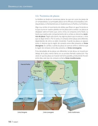 166 | Unidad 5
DESARROLLO DEL CONTENIDO
3.2. Tectónica de placas
La litósfera se divide en numerosas placas, las que son como las piezas de
un rompecabezas. Las principales placas son la Africana, la Euroasiática, la In-
doaustraliana, la Norteamericana, la Sudamericana, la Pacífica y la Antártica.
Algo muy similar al movimiento de sólidos que flotan en agua hirviendo es
lo que ocurre en nuestro planeta con las placas de la corteza. Las placas se
desplazan sobre el manto que, como vimos, se comporta como fluido. La
teoría que explica este comportamiento de la corteza se denomina tectó-
nica de placas. Según esta teoría, hay algunas placas que se acercan y otras
que se alejan entre sí. Por lo tanto, el contacto entre placas será diferente,
dependiendo de cómo se estén moviendo. Cuando las placas se separan
entre sí, diremos que la región de contacto entre ellas presenta un límite
divergente. En cambio, cuando las placas se acercan entre sí, diremos que
la región de contacto entre ellas presenta un límite convergente.
Si las densidades de las placas son diferentes, la más densa, se moverá por
debajo de la placa menos densa, en un proceso llamado subducción. Hay
veces en que las placas se mueven de forma paralela, produciendo fricción
entre ellas; este tipo de contacto se llama límite transformante.
Límite divergente Límite convergente Límite transformante
Unidad 5 (156-199) 6/7/10 09:19 Página 166
 