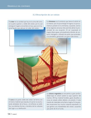 184 | Unidad 5
5.2 Descripción de un volcán
DESARROLLO DEL CONTENIDO
El cono es la parte visible del volcán. Se forma con
el mismo material que expulsa, el cual se va acumu-
lando alrededor de la fisura, y al enfriarse se solidi-
fica. Las distintas formas y tamaños de los volcanes
dan lugar a su clasificación.
La chimenea es el conducto que tiene el volcán en
su interior, por el que emerge el magma, lo que au-
menta la presión en la chimenea, causando, sismos
en las regiones cercanas. Esto permite alertar la pro-
ximidad de una erupción. Al ser expulsado el
magma libera gases, principalmente dióxido de car-
bono, hidrógeno y dióxido de azufre, que ascienden
a la atmósfera, generando una gran nube tóxica.
La cámara magmática se encuentra a gran profun-
didad bajo el volcán (sobre la capa superior del
manto). Allí hay material fundido, gases disueltos y
rocas en estado sólido debido a la presión. A esta
mezcla de materiales se les llama magma. En las gran-
des erupciones hay mucho material expulsado, lo
que genera una inestabilidad del volcán, causando
que parte de él se hunda.
El cráter es la cavidad que hay en la cima del cono;
es la parte superior y visible del volcán, por la cual
emerge el magma convertido en lava, que es el ma-
terial líquido que sale por el cráter del volcán.
Unidad 5 (156-199) 6/7/10 09:19 Página 184
 