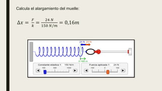 Calcula el alargamiento del muelle:
∆𝑥 =
𝐹
𝑘
=
24 𝑁
150 𝑁/𝑚
= 0,16𝑚
 
