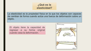 La elasticidad es la propiedad física en la que los objetos son capaces
de cambiar de forma cuando actúa una fuerza de deformación sobre un
objeto.
¿Qué es la
elasticidad?
El objeto tiene la capacidad de
regresar a su forma original
cuando cesa la deformación.
 