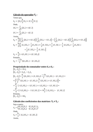 Cálculo do operador    :
Temos que,


Onde,




Assim,




Portanto,



Propriedade do comutador entre Sx e Sy :




Portanto,



Cálculo dos coeficientes das matrizes      :
Seja a matriz,


Onde,


Assim,
 