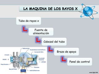 Tubo de rayos x
Fuente de
alimentación
Cabezal del tubo
Brazo de apoyo
Panel de control
 