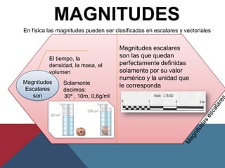 En física las magnitudes pueden ser clasificadas en escalares y vectoriales


                                      Magnitudes escalares
          El tiempo, la
                                      son las que quedan
          densidad, la masa, el       perfectamente definidas
          volumen                     solamente por su valor
                                      numérico y la unidad que
Magnitudes     Solamente              le corresponda
Escalares      decimos:
   son         30º , 10m, 0,6g/ml
 