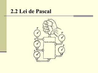 2.2 Lei de Pascal 