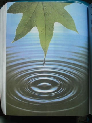 Fisica vol. 1   6ta edicion - serway