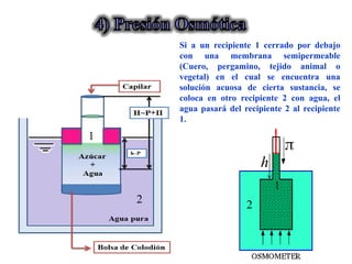Si a un recipiente 1 cerrado por debajo
con una membrana semipermeable
(Cuero, pergamino, tejido animal o
vegetal) en el cual se encuentra una
solución acuosa de cierta sustancia, se
coloca en otro recipiente 2 con agua, el
agua pasará del recipiente 2 al recipiente
1.
h
1
2
2
1
 
