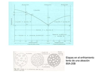 Etapas en el enfriamiento
lento de una aleación
80A-20B
 