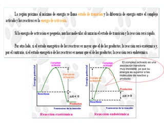 Manuel Páez
El complejo activado es una
asociación transitoria
muy inestable, ya que su
energía es superior a las
moléculas de reactivo y
producto
 