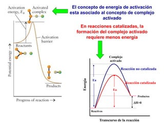 El concepto de energía de activación
esta asociado al concepto de complejo
activado
En reacciones catalizadas, la
formación del complejo activado
requiere menos energía
Ea
Transcurso de la reacción
Complejo
activado
Reactivos
H>0
Productos
Ea
Reacción no catalizada
Reacción catalizada
 