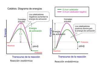 Energía
de activación
Transcurso de la reacción
Complejo
activado
Reactivos
H<0
Energía
de activación
Transcurso de la reacción
Complejo
activado
Reactivos
H>0
Reacción exotérmica Reacción endotérmica
Productos
Productos
E.A
E.A
Los catalizadores
negativos aumentan la
energía de activación
Los catalizadores
positivos disminuyen
la energía de activación
E.A sin catalizador
E.A con catalizador negativo
E.A con catalizador positivo
Catálisis. Diagrama de energías
 