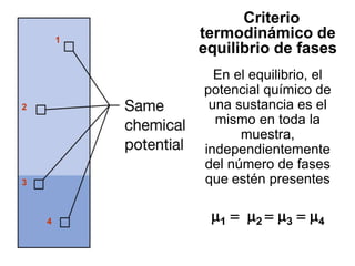 Criterio
termodinámico de
equilibrio de fases
En el equilibrio, el
potencial químico de
una sustancia es el
mismo en toda la
muestra,
independientemente
del número de fases
que estén presentes
1  2  3  4
1
2
3
4
 