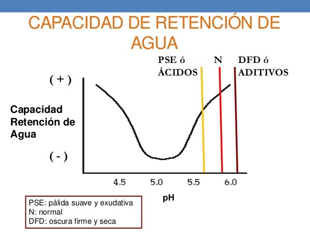 Capacidad De Retencion De Agua En Carne De Pollo