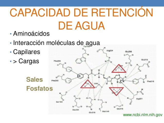 Fisicoquímica y Calidad de Carne - Materia Prima