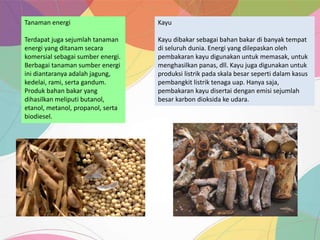 Tanaman energi
Terdapat juga sejumlah tanaman
energi yang ditanam secara
komersial sebagai sumber energi.
Berbagai tanaman sumber energi
ini diantaranya adalah jagung,
kedelai, rami, serta gandum.
Produk bahan bakar yang
dihasilkan meliputi butanol,
etanol, metanol, propanol, serta
biodiesel.
Kayu
Kayu dibakar sebagai bahan bakar di banyak tempat
di seluruh dunia. Energi yang dilepaskan oleh
pembakaran kayu digunakan untuk memasak, untuk
menghasilkan panas, dll. Kayu juga digunakan untuk
produksi listrik pada skala besar seperti dalam kasus
pembangkit listrik tenaga uap. Hanya saja,
pembakaran kayu disertai dengan emisi sejumlah
besar karbon dioksida ke udara.
 