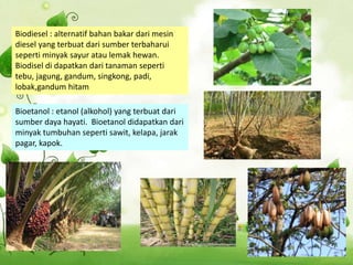 Biodiesel : alternatif bahan bakar dari mesin
diesel yang terbuat dari sumber terbaharui
seperti minyak sayur atau lemak hewan.
Biodisel di dapatkan dari tanaman seperti
tebu, jagung, gandum, singkong, padi,
lobak,gandum hitam
Bioetanol : etanol (alkohol) yang terbuat dari
sumber daya hayati. Bioetanol didapatkan dari
minyak tumbuhan seperti sawit, kelapa, jarak
pagar, kapok.
 