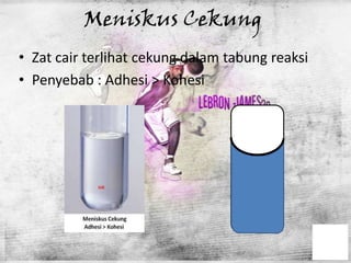 Meniskus Cekung
• Zat cair terlihat cekung dalam tabung reaksi
• Penyebab : Adhesi > Kohesi
 