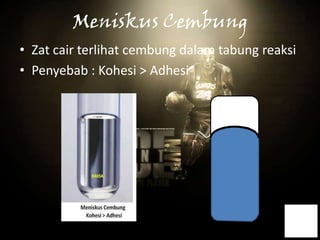 Meniskus Cembung
• Zat cair terlihat cembung dalam tabung reaksi
• Penyebab : Kohesi > Adhesi
 