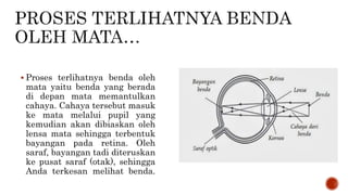  Proses terlihatnya benda oleh
mata yaitu benda yang berada
di depan mata memantulkan
cahaya. Cahaya tersebut masuk
ke mata melalui pupil yang
kemudian akan dibiaskan oleh
lensa mata sehingga terbentuk
bayangan pada retina. Oleh
saraf, bayangan tadi diteruskan
ke pusat saraf (otak), sehingga
Anda terkesan melihat benda.
 
