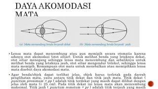  Lensa mata dapat mencembung atau pun memipih secara otomatis karena
adanya otot akomodasi (otot siliar). Untuk melihat benda yang letaknya dekat,
otot siliar menegang sehingga lensa mata mencembung dan sebaliknya untuk
melihat benda yang letaknya jauh, otot siliar mengendur (rileks), sehingga lensa
mata memipih. Kemampuan otot mata untuk menebalkan atau memipihkan lensa
mata disebut daya akomodasi mata.
 Agar benda/objek dapat terlihat jelas, objek harus terletak pada daerah
penglihatan mata, yaitu antara titik dekat dan titik jauh mata. Titik dekat (
punctum proximum = pp ) adalah titik terdekat yang masih dapat dilihat dengan
jelas oleh mata (± 25 cm). Pada titik dekat ini lensa mata akan mencembung
maksimal. Titik jauh ( punctum remotum = pr ) adalah titik terjauh yang masih
 