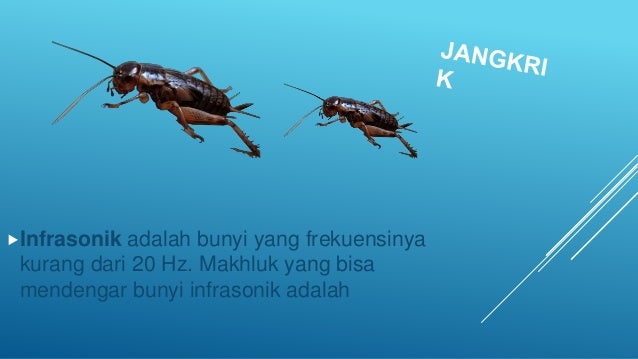 Cepat Rambat Gelombang Bunyi