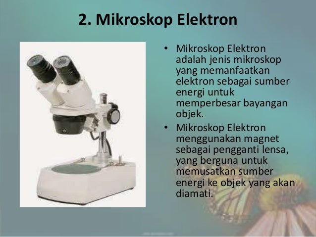 Fisika Mata Lup Ohp Mikroskop Lensa Optik