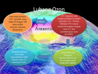 Lubang Ozon
Satu buah molekul
CFC memiliki masa
hidup 50 hingga 100
tahun dalam
atmosfer sebelum
dihapuskan.
5 tahun
CFC bergerak naik
dengan perlahan ke dalam
stratosfer (10 – 50 km).
Molekul CFC terurai
setelah bercampur dengan
sinar UV, dan
membebaskan atom
KLORIN.
Atom klorin ini
berupaya
memusnahkan ozon
dan menghasilkan
LUBANG OZON
Penipisan lapisan
ozon akan
menyebabkan lebih
banyak sinar UV
memasuki bumi.
 